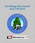Livestream poster FB City Council Aug 11th
