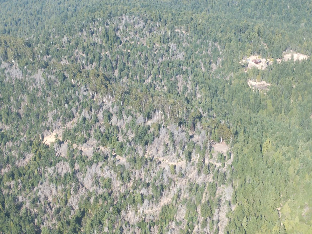 Mendocino Redwood Company FSC Stakeholder Public Meeting Mendocino TV